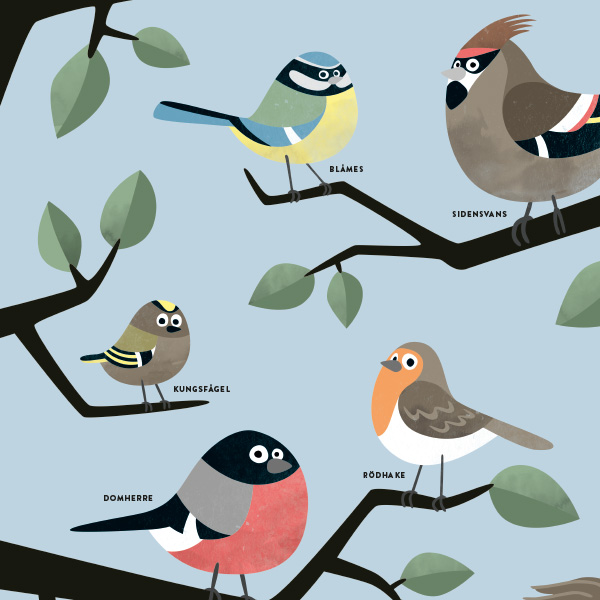 Skandinaviska fåglar